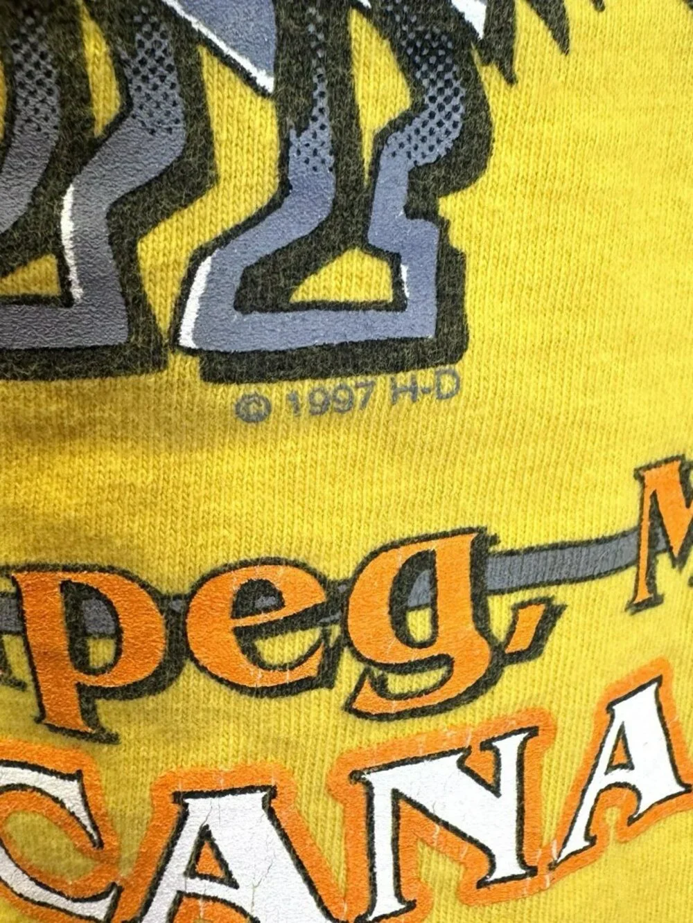 Vintage 90s Y2K Harley Davidson T-Shirt Tee Winnipeg Manitoba Buffalo Lone Star - Picture 3 of 8